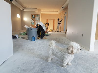 6 Best Renovations I Did as a New Homeowner This Year